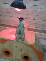 IMG20250713201151.jpg