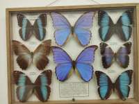 IMG20250714164523.jpg