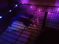 IMG20250714232440378.jpg