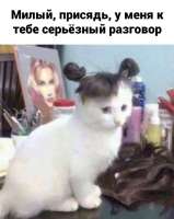 17525105823501.jpg