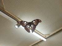 IMG20250714161521.jpg