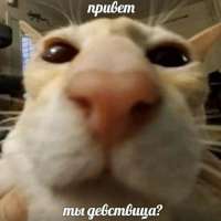 4b656af3e3f8f194d81ba2e616de393d.jpg