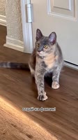 175260589116040872.mp4