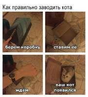 PXQPA6pwSJY.jpg