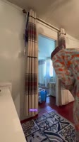175284813406573377.mp4
