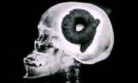 коки (22).png