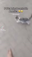 25305718867643872398.mp4