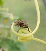 IMG20250719173525~2.jpg
