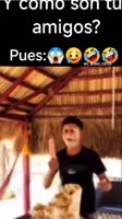 VID20250720015345881.mp4
