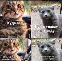 17261645746630.png