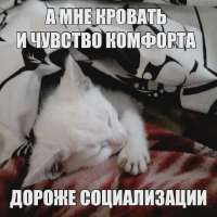 17507934463290.webp