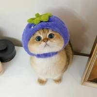IMG20240604161426781.jpg