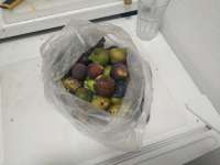 IMG20250730195744.jpg