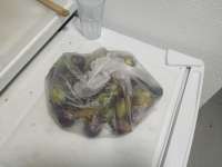 IMG20250730195757.jpg