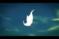 17263928935950.mp4
