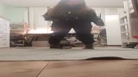 VID20250804211750.mp4