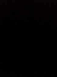 IMG4952.jpeg
