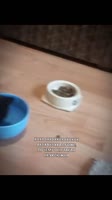 175415252410492632.mp4