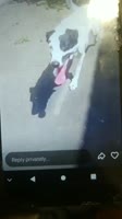 VID20250804163827968.mp4