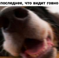 17532162722270.jpg