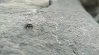 VID20250905192132201.mp4