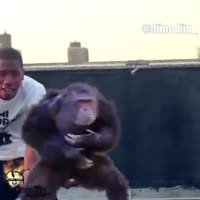 15862515577700.webm
