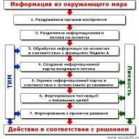 1615124509926.jpg