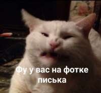 da38939b6a8987193151f5ff2c4c63e7.jpg