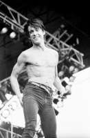 IggyPop-pinkpop87.jpg