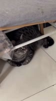 1000030270.mp4