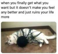 1756682833523728.jpg