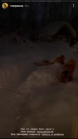 маня-снег-SVID202202082036472.mp4