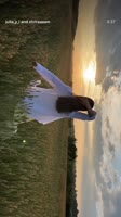 elviraaaam-juliayi-фотст-в поле-3.mp4