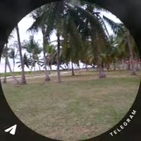 ccb9b0cb96.mp4