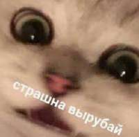 изображение.png