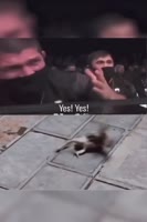 1697714847720885.webm