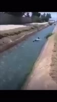 🤷♂️😜😍Islam Makhachev funny swimming in dagestan lake #memesfromrussia #islammakhachev.mp4