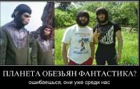 хачи2.jpg