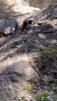 1749042232714.mp4