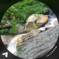 9ef1d1f799.mp4