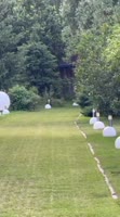 video2025-06-2800-05-40.mp4