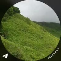 4568ac5198.mp4