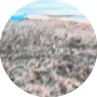 48ff15c158.mp4