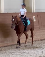 1db9aa58a4.mp4