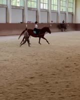 04d8efc658.mp4