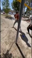 17486507533950.mp4