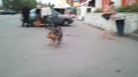 1000026233.mp4