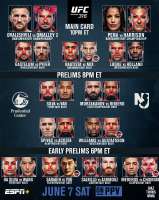 UFC 316.png