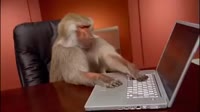 f8d6a35a-0369-4886-950a-93e619f6ae2e.webm