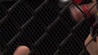 14.webm